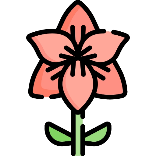 Flower flower spring petals icon