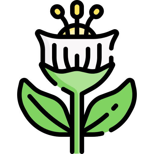 Flower nature petals spring icon