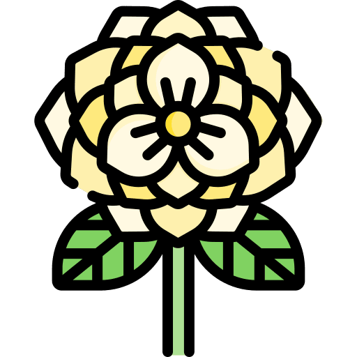 Flower petals blossom botanical icon