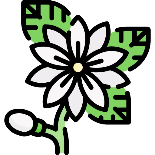 Flower spring botanical blossom icon