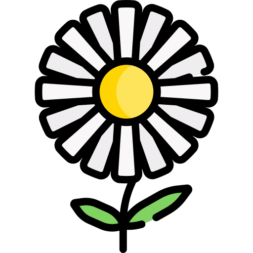 Flower spring petals botanical icon