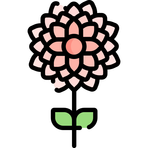 Flower spring petals nature icon