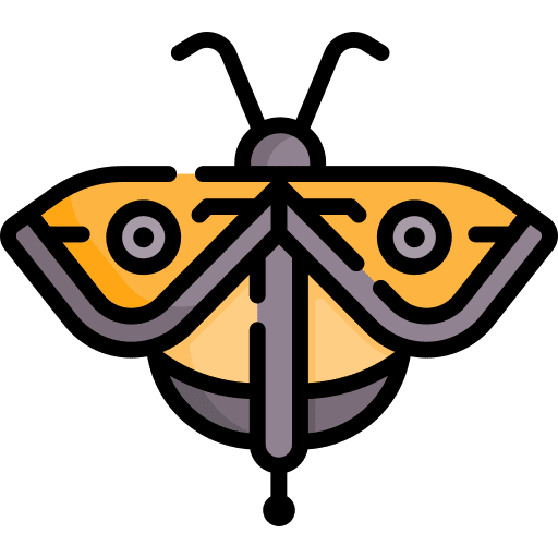 Fly fly insect zoology icon