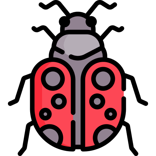 Ladybug zoology insect entomology icon