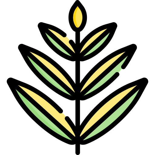 Leaf leaf botanical nature icon