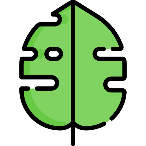 Leaf nature palm leaf leaf icon