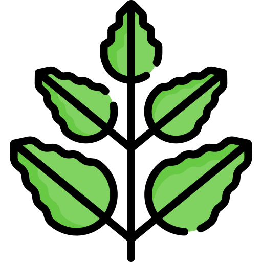 Leaf spring leaf botanical icon