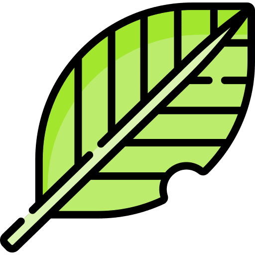 Leaf spring leaf botanical icon