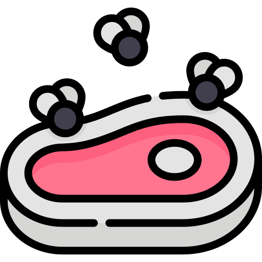 Contaminated food meat coronavirus icon