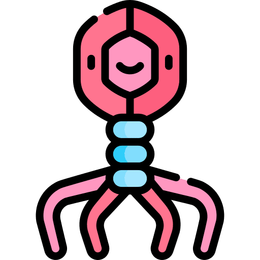 Bacteria cell virus covid 19 icon