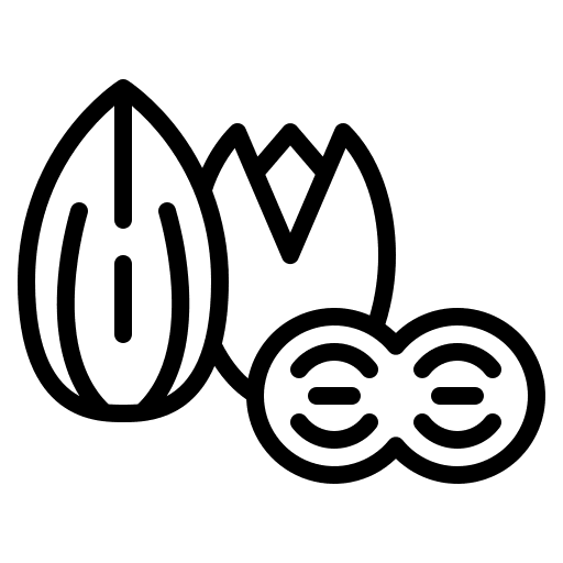 Nuts bean beans protein icon
