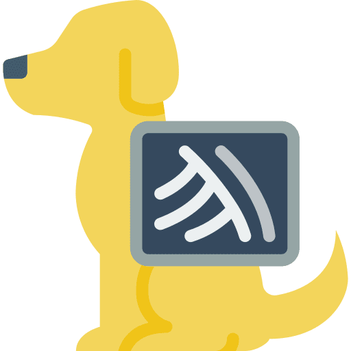 Dog care animals x ray icon