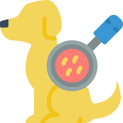 Dog check animals health icon