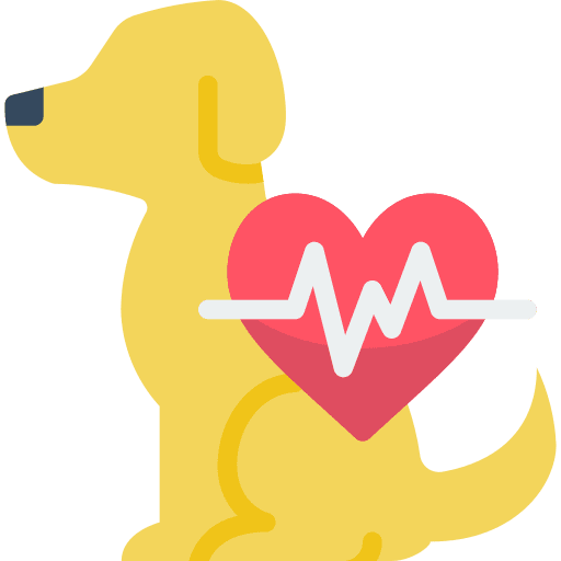 Dog dog animals care icon