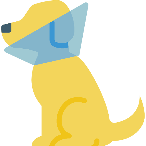 Dog health dog cone icon