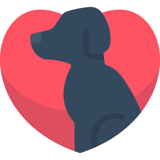 Dog vet health dog icon