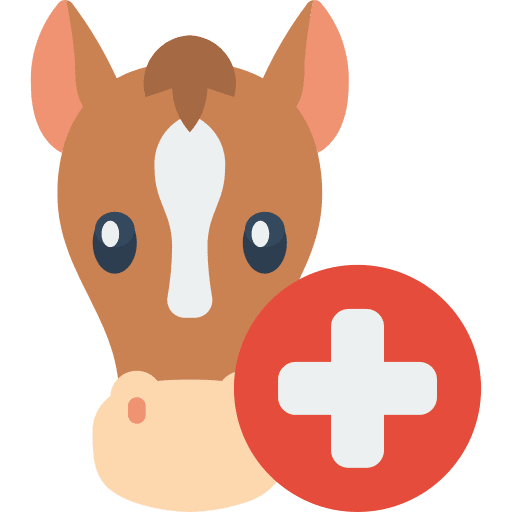 Horse equine horse health icon
