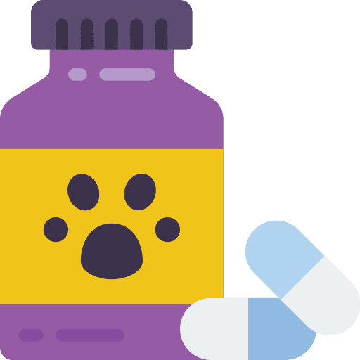Pills animals care medicine icon