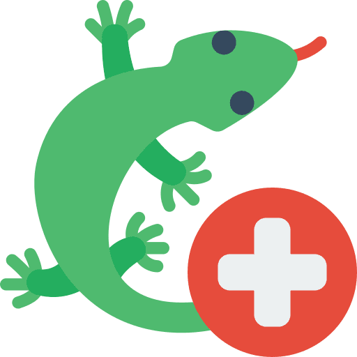 Reptile animals care health icon
