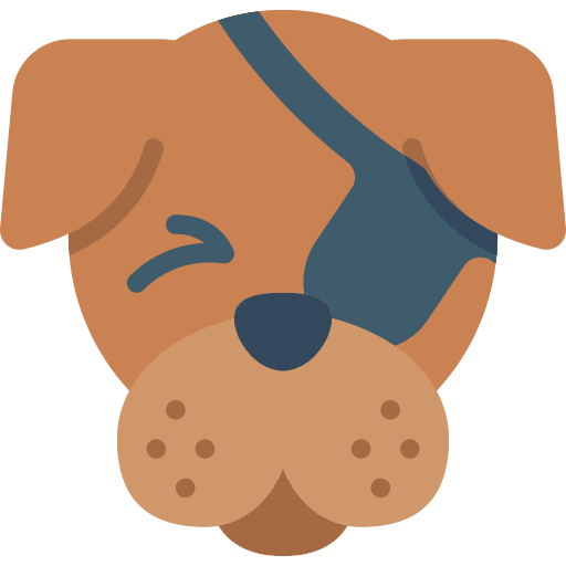 Dog eyepatch injury health icon