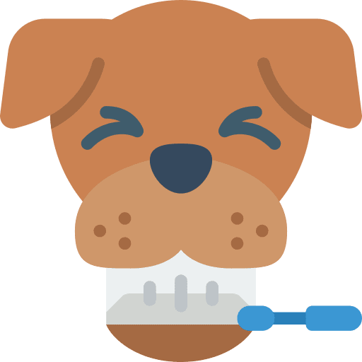 Dog pets dental animals icon