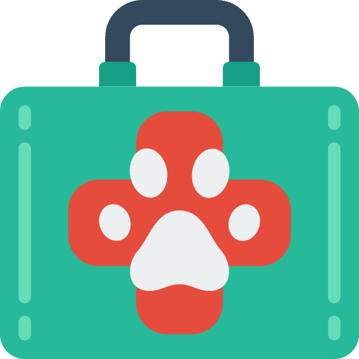 First aid care vet health icon