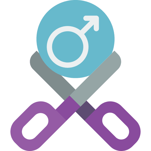 Neuter pets male cut icon