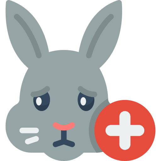 Rabbit rabbit care vet icon
