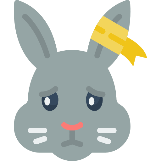 Rabbit vet health care icon
