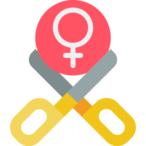 Spay pets female surgery icon