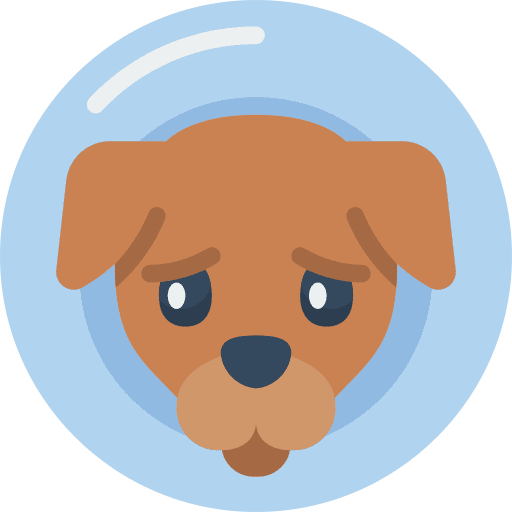 Cone cone animals dog icon