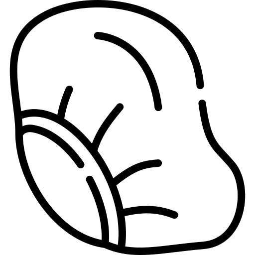 Cap head healthcare and medical hair icon