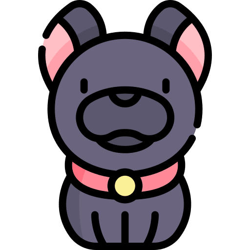 French bulldog mammal pet french bulldog icon