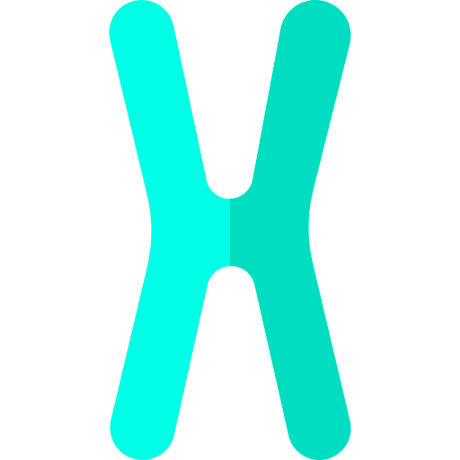 Chromosome string chromosome string gene dna strand icon