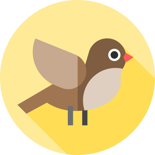 Bird wildlife animal kingdom zoology icon