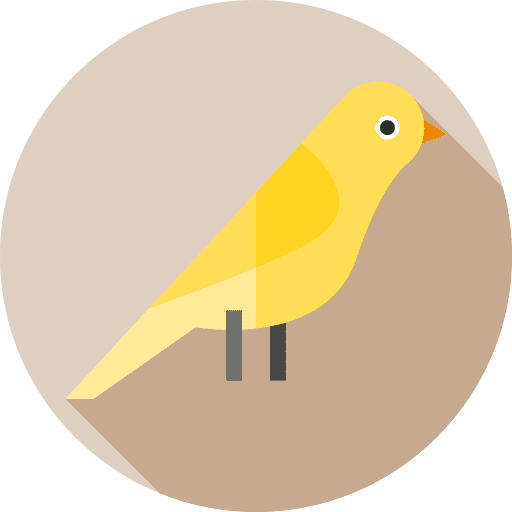 Canary wildlife bird animals icon