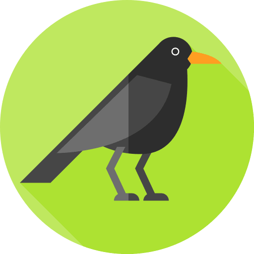 Crow ornithology bird crow icon