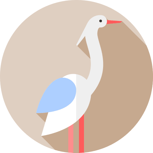 Heron animals ornithology animal kingdom icon