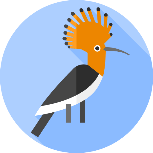Hoopoe zoology hoopoe ornithology icon