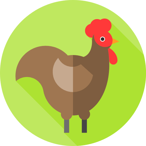 Rooster zoology bird fauna icon