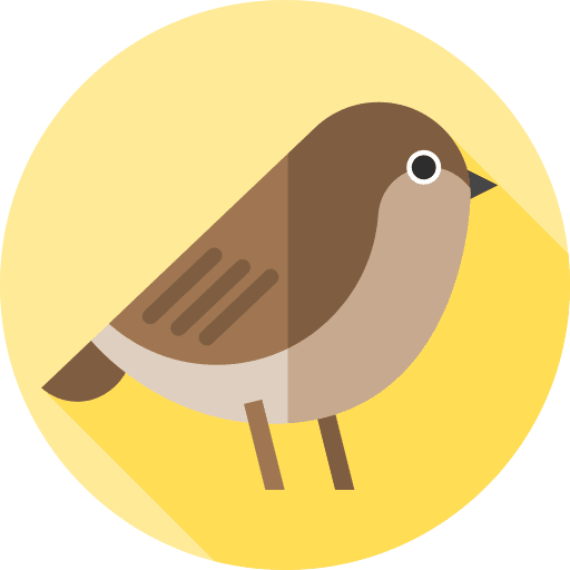 Sparrow zoo fauna bird icon