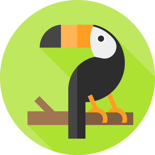 Toucan bird wildlife zoology icon