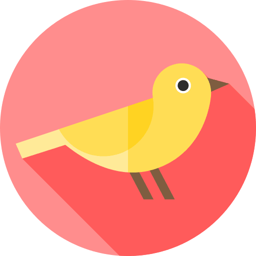 Canary animals bird ornithology icon