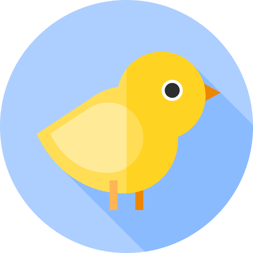 Chick chick ornithology baby icon