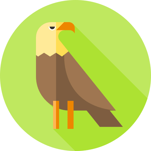 Eagle wildlife animal kingdom fauna icon