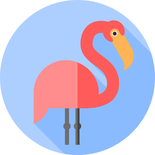 Flamingo animal kingdom fauna ornithology icon