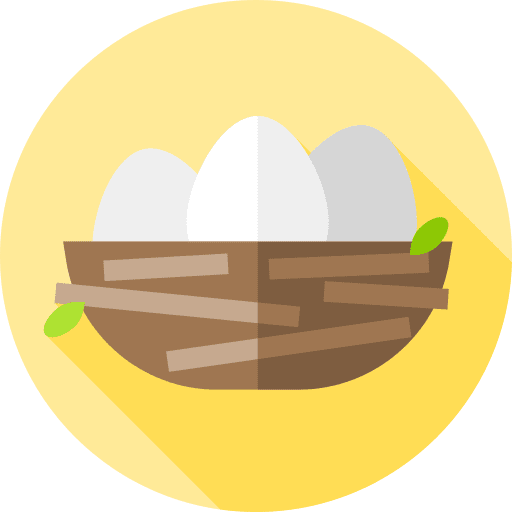 Nest animal kingdom bird zoo icon