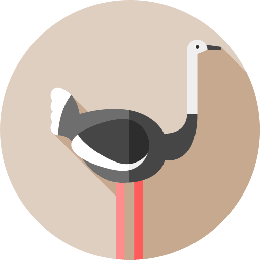 Ostrich animal kingdom bird ornithology icon