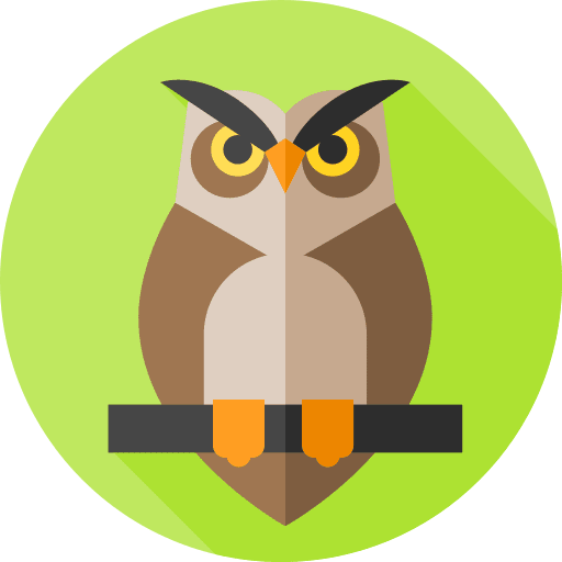 Owl bird animal kingdom animals icon