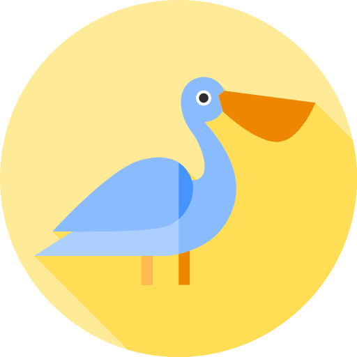 Pelican bird ornithology zoology icon